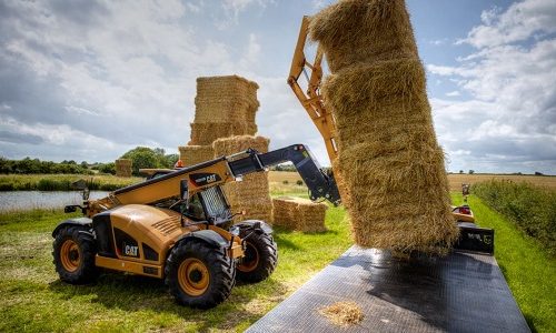 Rental Telehandler CAT TH 3510D
